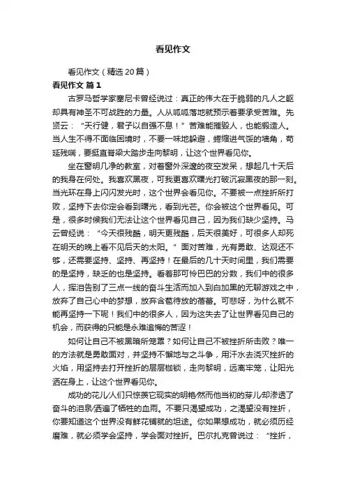 看见作文（精选20篇）