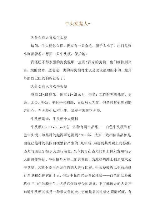 牛头梗黏人--为什么有人喜欢牛头梗
