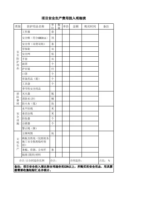 安全生产费用投入明细表