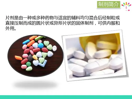 片剂生产设备—压片设备(药物制剂设备)