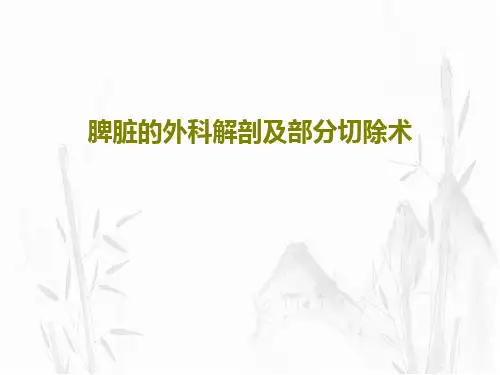 脾脏的外科解剖及部分切除术共29页文档