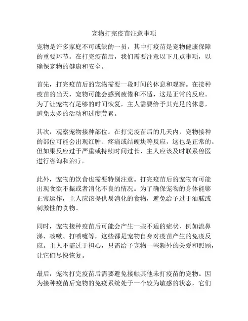 宠物打完疫苗注意事项