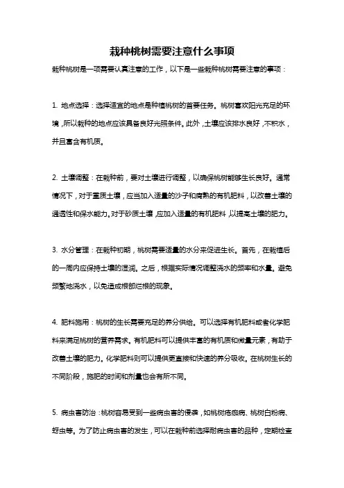栽种桃树需要注意什么事项