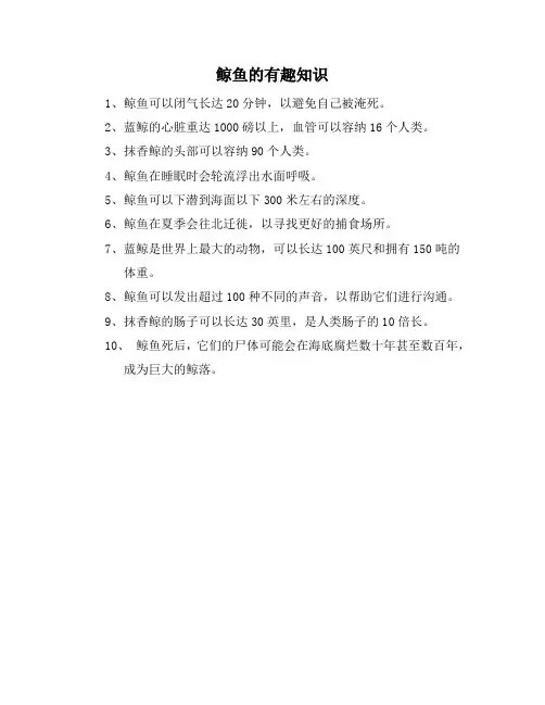 鲸鱼的有趣知识