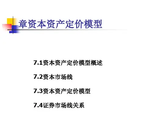 资本资产定价模型概述(ppt42张)
