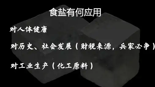 离子反应 离子方程式-高一化学课件(人教版2019必修第一册)