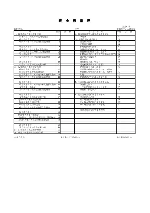 XX公司现金流量表空白表格
