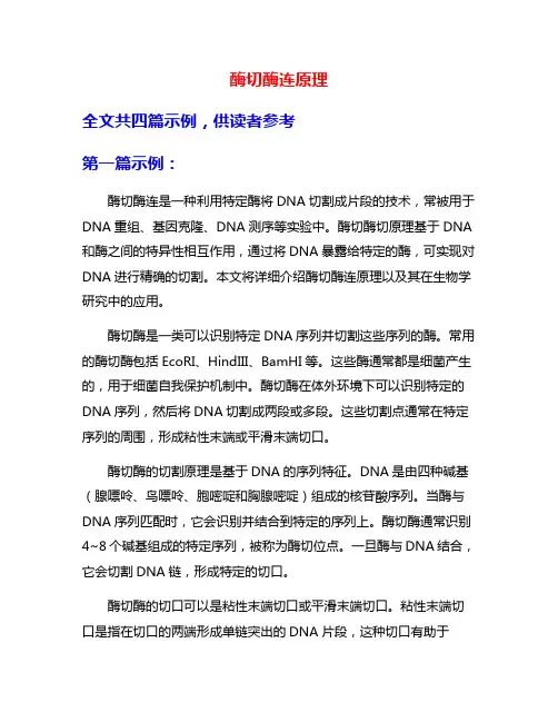 酶切酶连原理