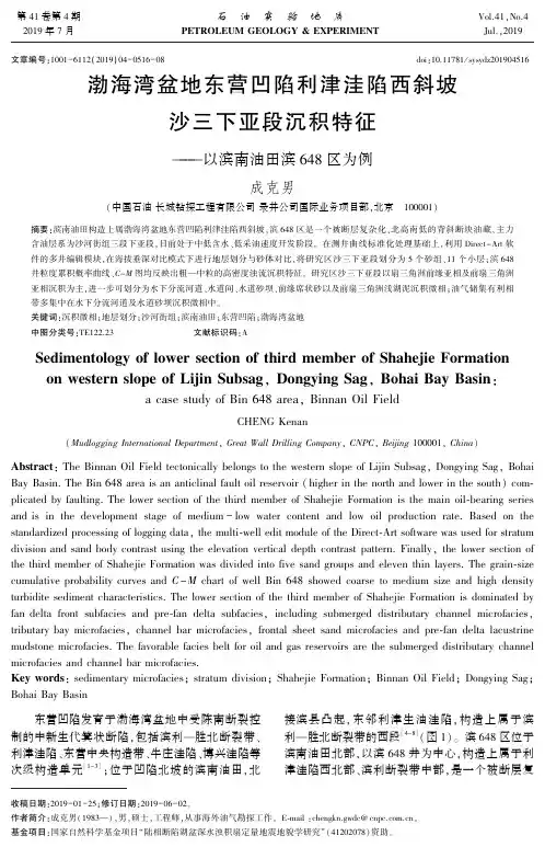 渤海湾盆地东营凹陷利津洼陷西斜坡沙三下亚段沉积特征——以滨南