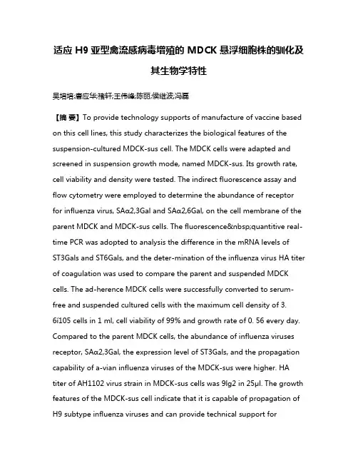 适应 H9亚型禽流感病毒增殖的 MDCK 悬浮细胞株的驯化及其生物学特性