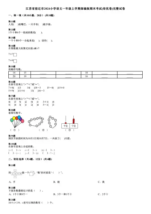 江苏省宿迁市2024小学数学一年级上学期部编版期末考试(培优卷)完整试卷