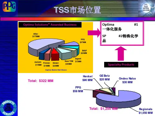SP特殊化学品介绍(中文)