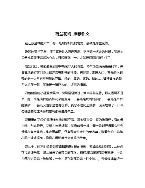 荷兰花海 推荐作文