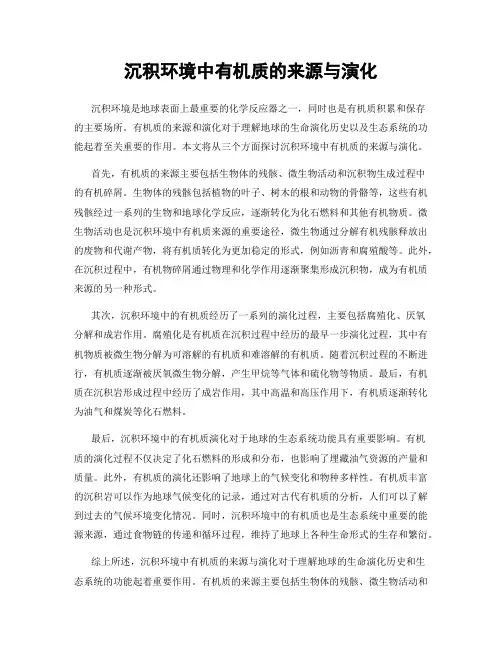 沉积环境中有机质的来源与演化