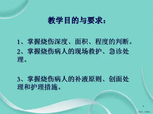 烧伤病人的护理ppt