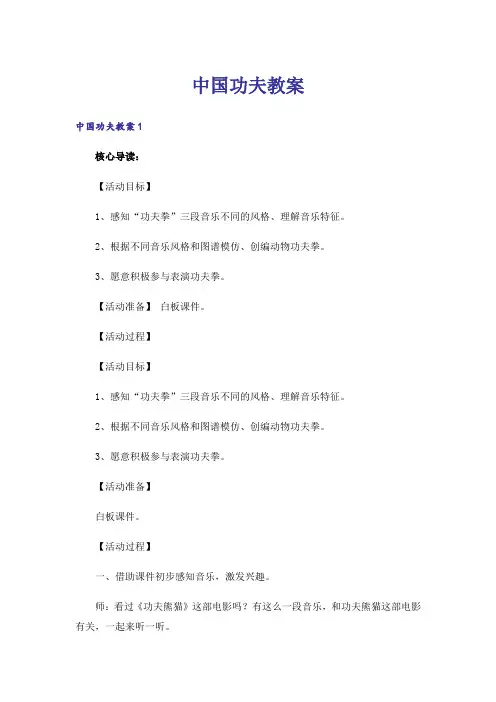 中国功夫教案_5