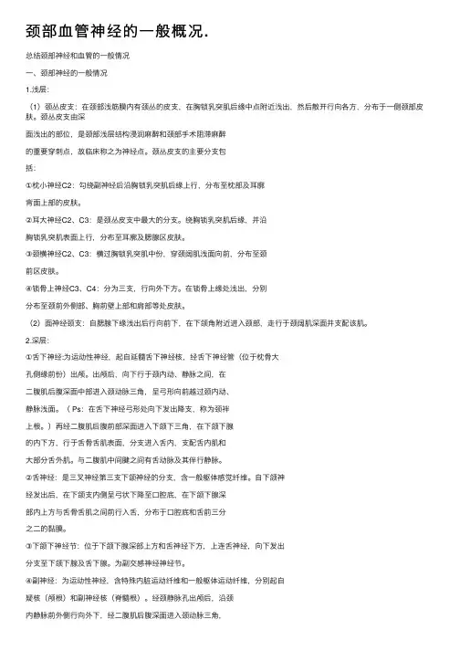 颈部血管神经的一般概况.