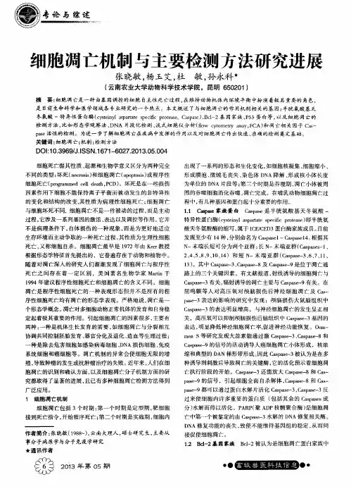细胞凋亡机制与主要检测方法研究进展