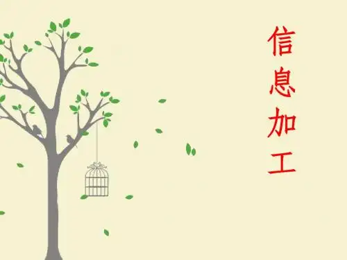 信息的编程加工和智能化加工