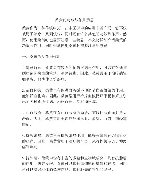 桑黄的功效与作用禁忌