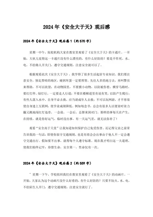 2024年《安全大于天》观后感_1