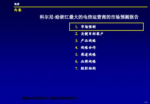 科尔尼-给浙江最大的电信运营商的市场预测报告() [电信行业 企划方案]