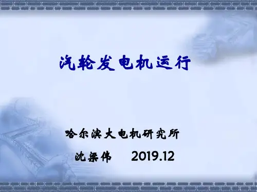 汽轮发电机运行