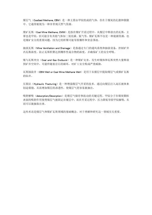 煤层气煤矿瓦斯术语
