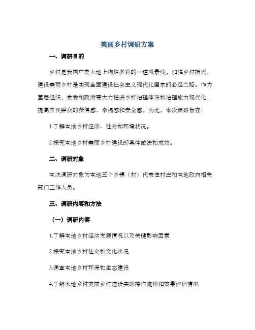 美丽乡村调研方案