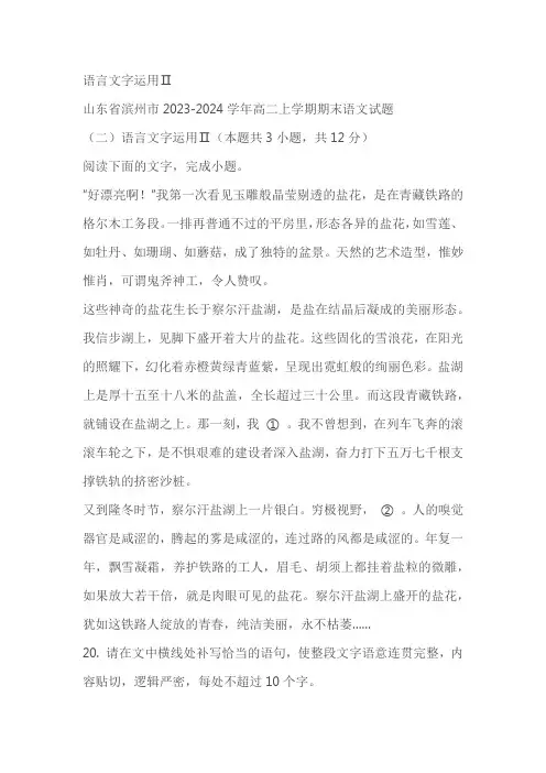 山东部分地区2023-2024学年高二上学期语文期末试卷分类汇编：语言文字运用Ⅱ(含答案)