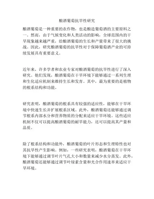 酿酒葡萄抗旱性研究