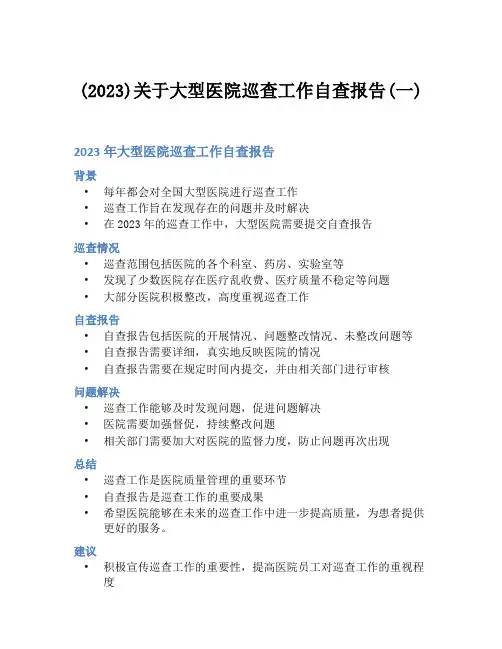 (2023)关于大型医院巡查工作自查报告(一)