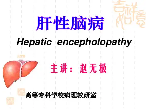 课件-病理生理学-肝性脑病