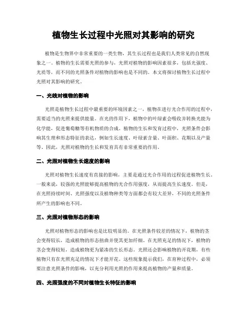 植物生长过程中光照对其影响的研究