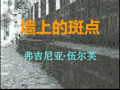 选修《墙上的斑点》 