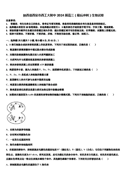 陕西省西安市西工大附中2024届高三(最后冲刺)生物试卷含解析