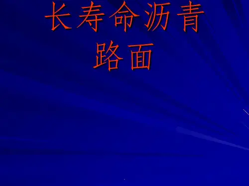《长寿命沥青路面》
