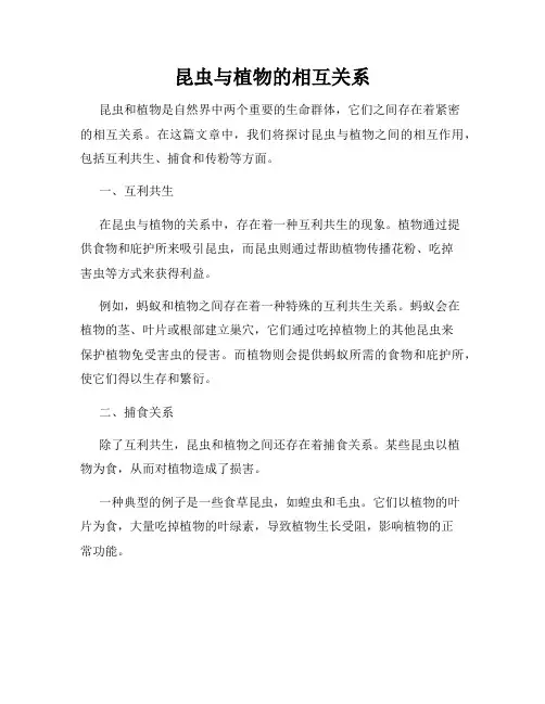 昆虫与植物的相互关系