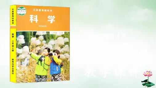 【配套课件】第02单元 科学阅读-【科学声音】二年级上册科学(教科版)