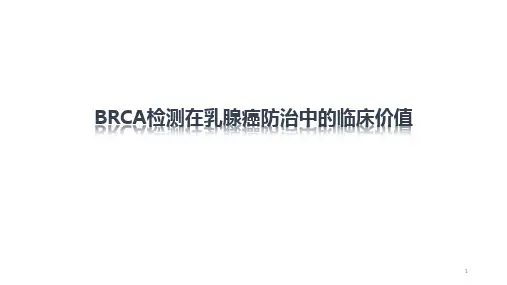 BRCA检测在乳腺癌防治中的临床价值PPT参考幻灯片