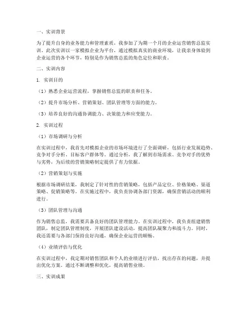 企业运营销售总监实训报告