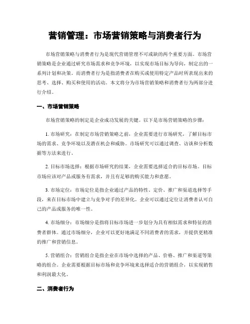 营销管理：市场营销策略与消费者行为