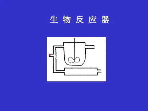 酶反应器