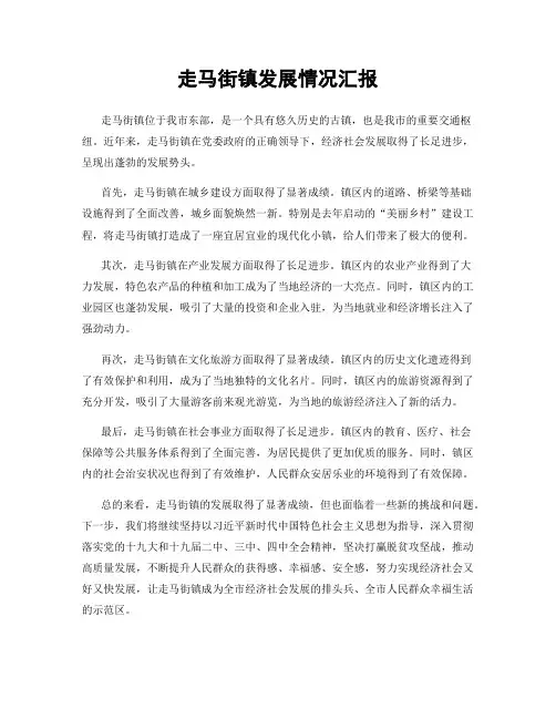 走马街镇发展情况汇报
