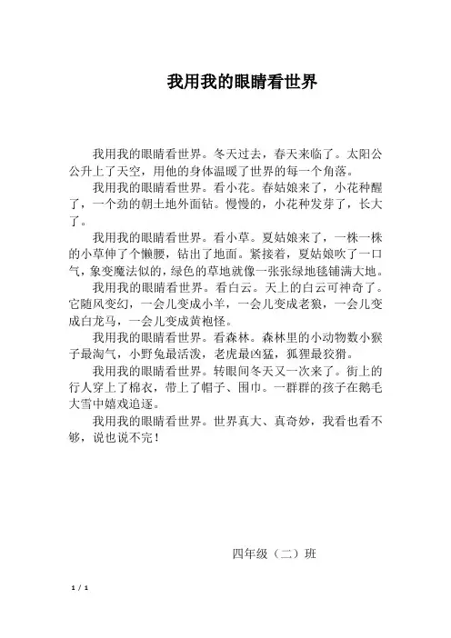 我用我的眼睛看世界