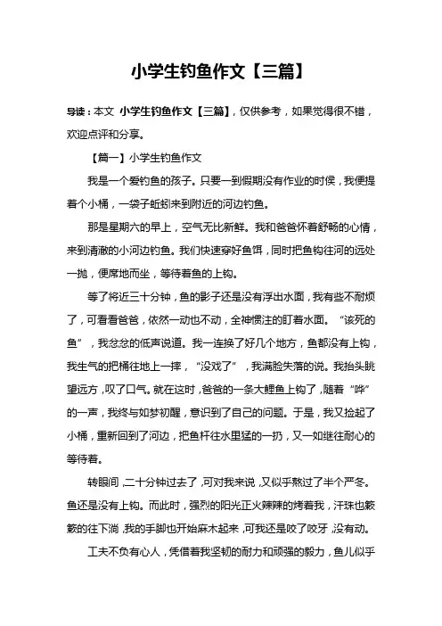 小学生钓鱼作文【三篇】