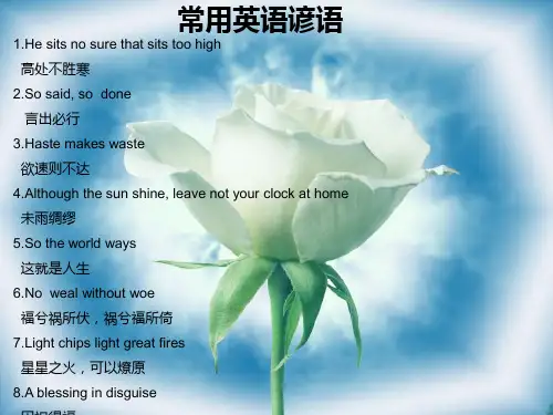 英语常用谚语PPT课件