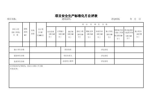 安全生产标准化考评月自评表(项目)
