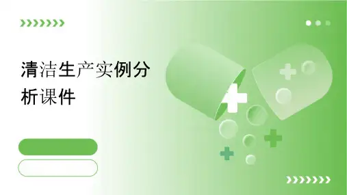 清洁生产实例分析课件