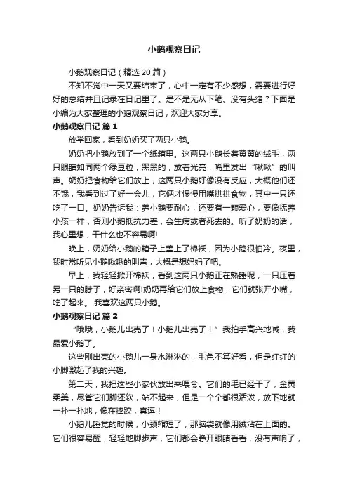 小鹅观察日记（精选20篇）